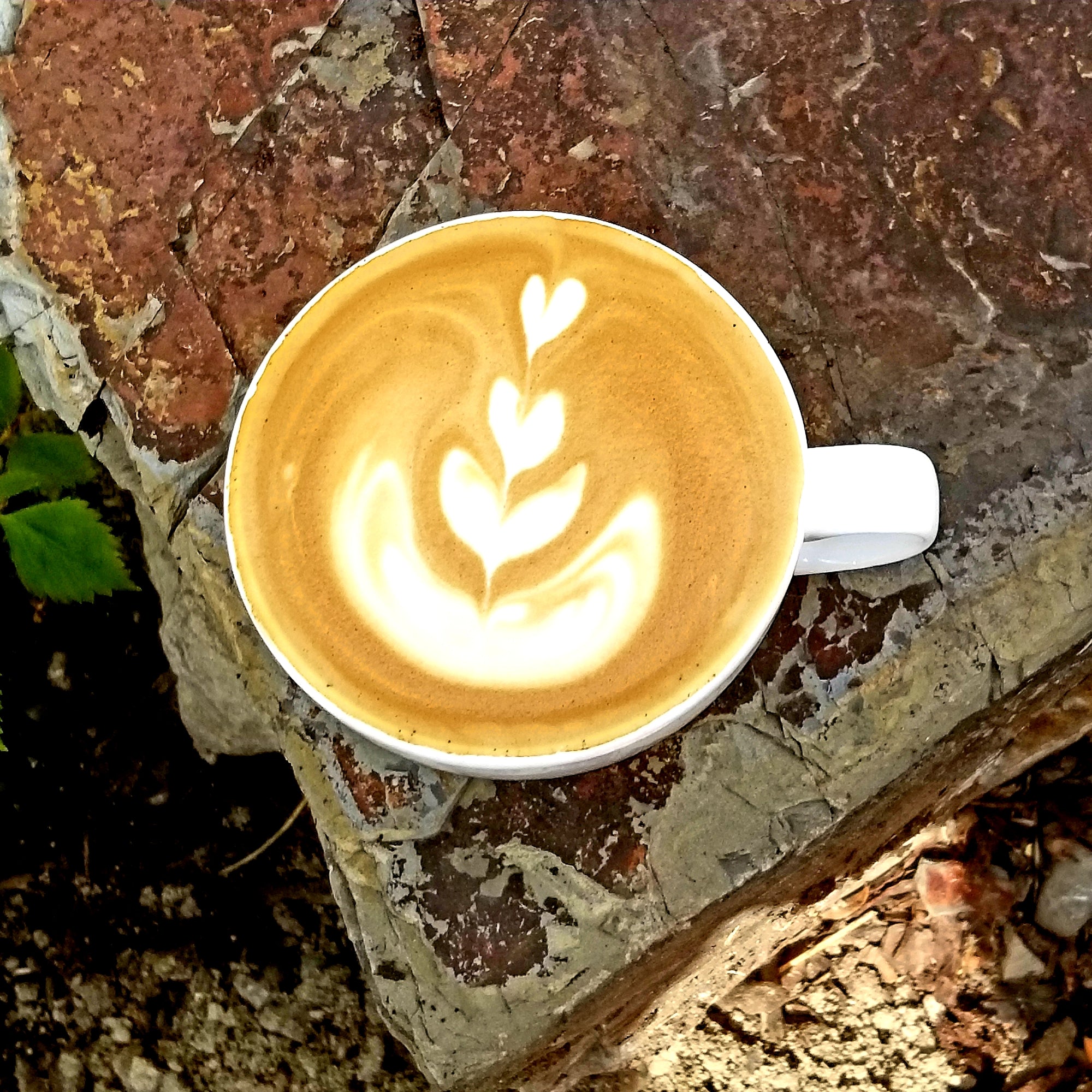 Enjoy Montana coffee at Rock Creek Coffee Roasters!
