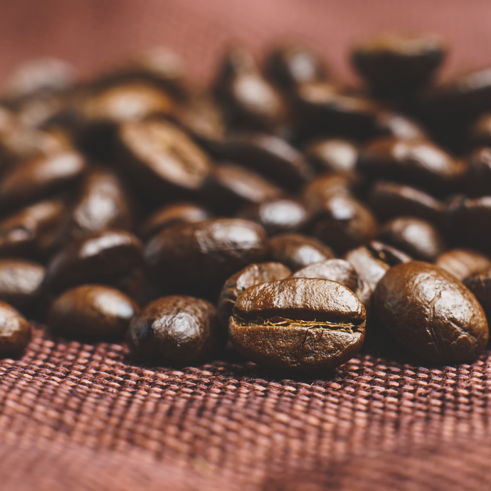 Introduction To Coffee Beans & Their Flavour Profiles