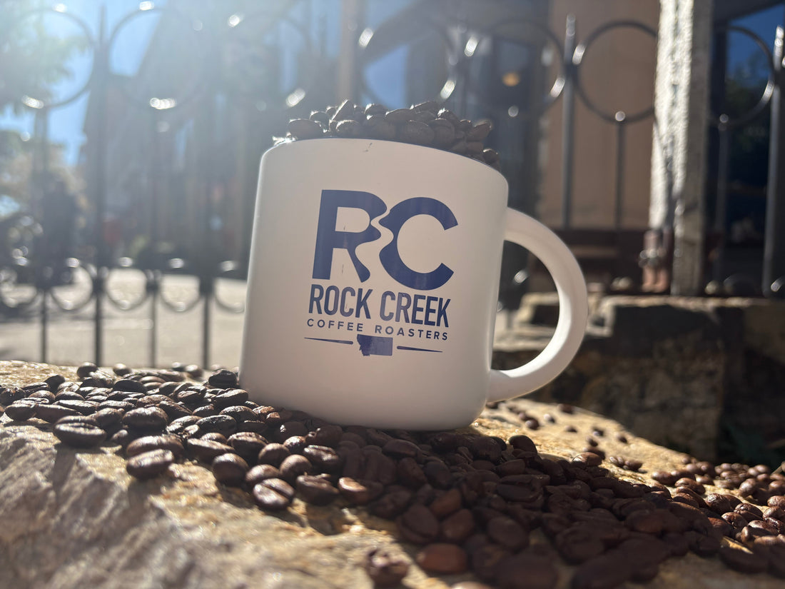 White Rock Creek Coffee Roasters mug filled with whole coffee beans, resting on a stone surface covered in scattered beans with bright morning sunlight and an outdoor city backdrop.