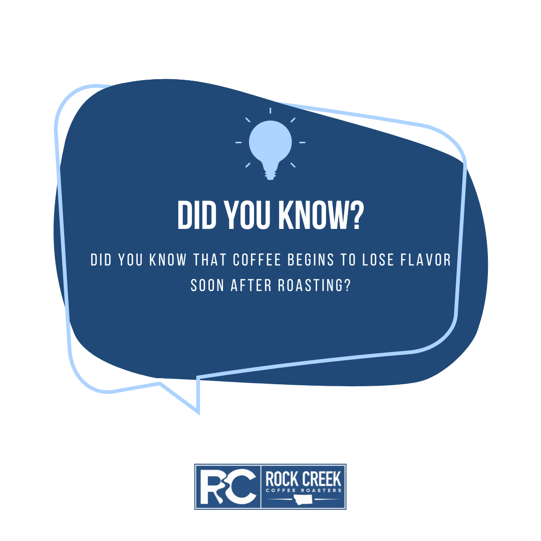 Graphic with a lightbulb icon and the text “Did You Know? Did you know that coffee begins to lose flavor soon after roasting?” above the Rock Creek Coffee Roasters logo.