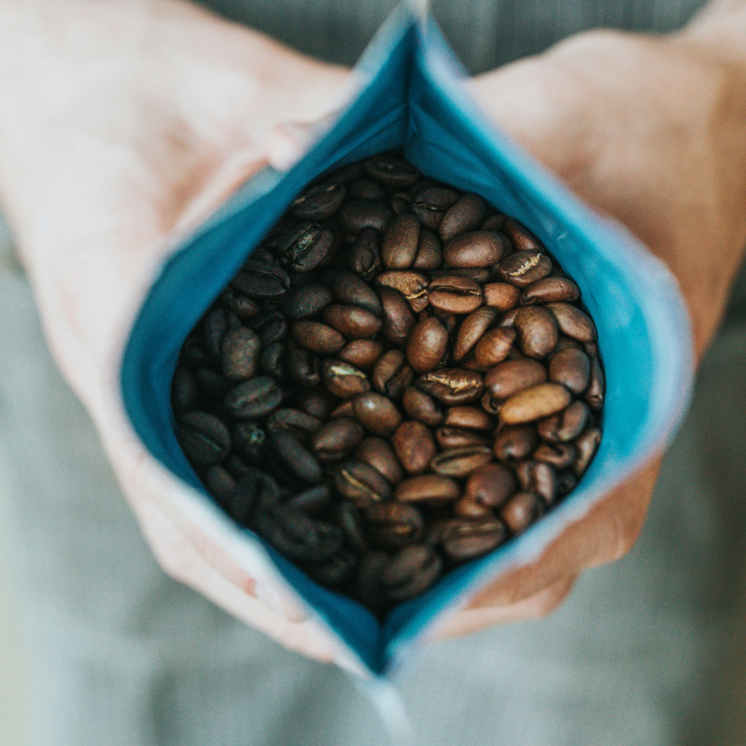 Close up view of freshly roasted coffee beans inside an opened blue lined coffee bag held by hands.