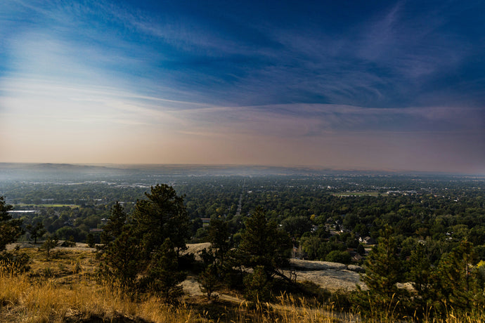 Discovering the Natural Beauty of the Billings Rimrocks