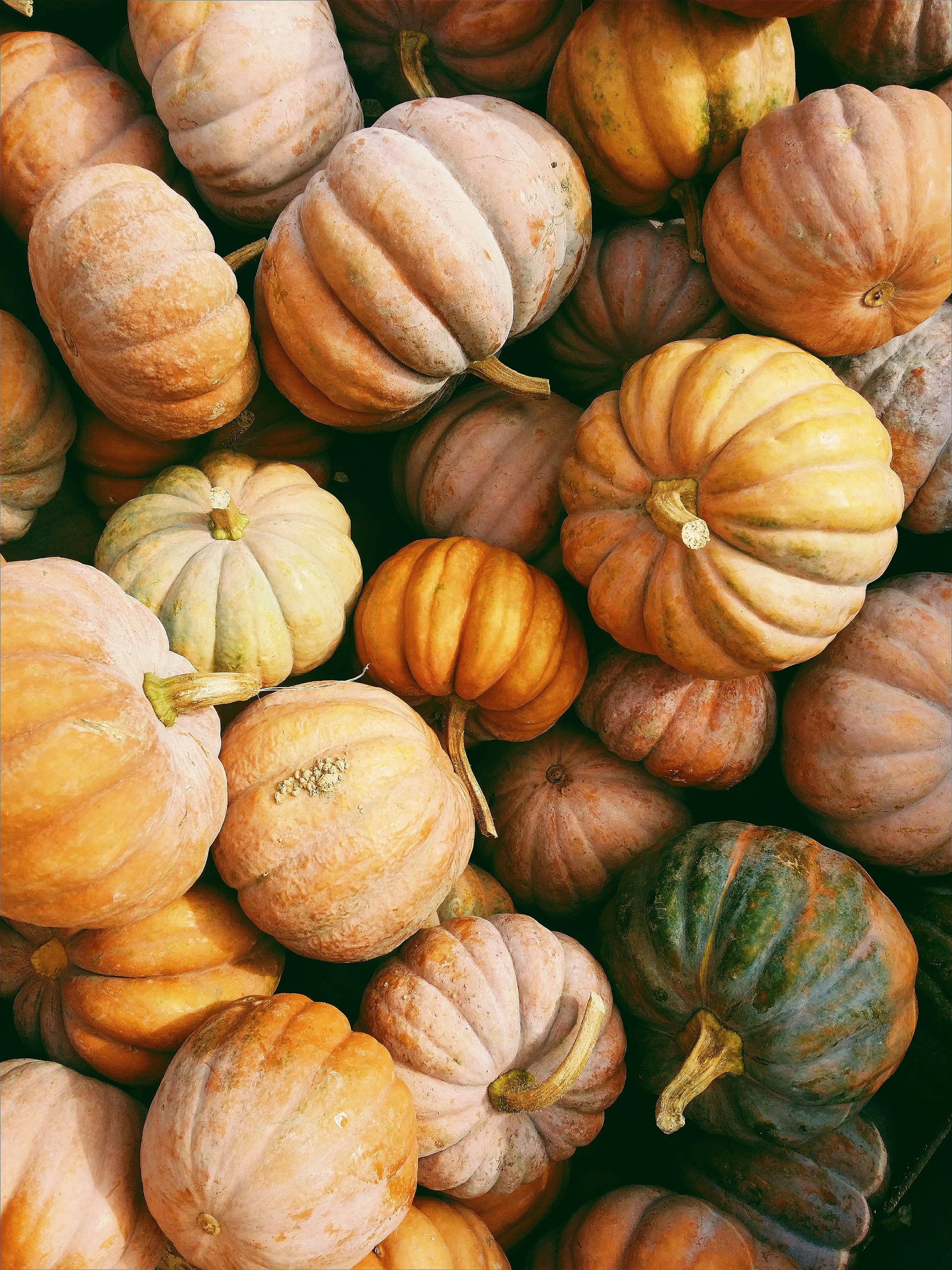 Halloween in Downtown Billings: Trick-or-Treat and Pumpkin Painting Fun