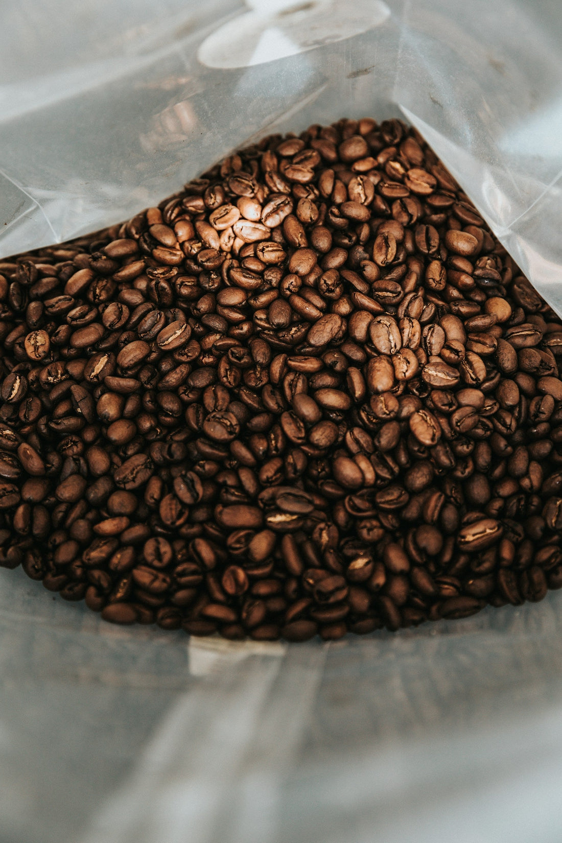 Freshly roasted coffee beans piled inside an opened resealable bag, viewed from above