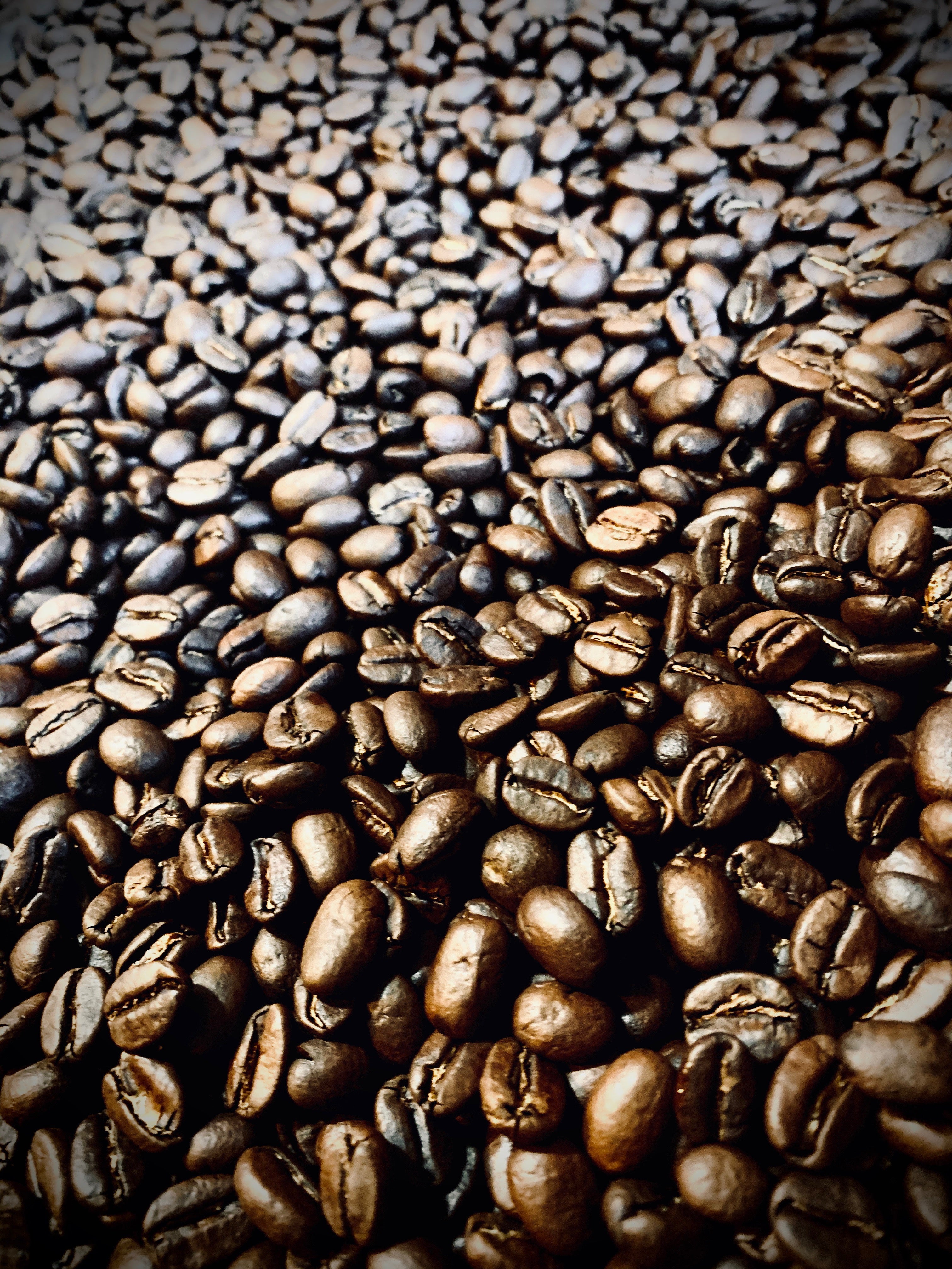Close-up view of freshly roasted whole coffee beans filling the frame, showing rich brown tones and glossy surfaces.