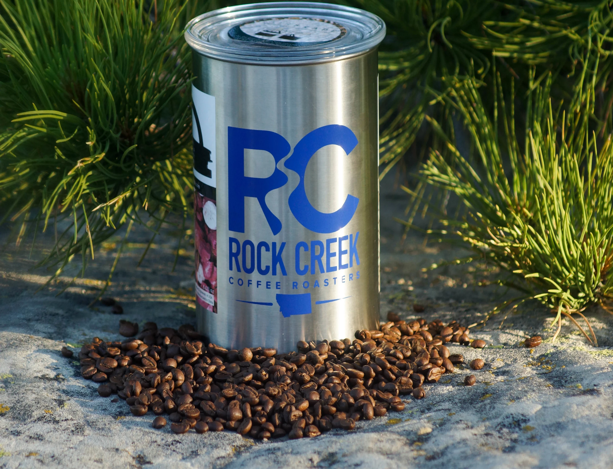 White Rock Creek Coffee Roasters branded metal coffee can with a large blue RC Rock Creek Coffee Roasters logo, sitting outdoors on a stone surface with roasted coffee beans scattered in front and green pine branches in the background.